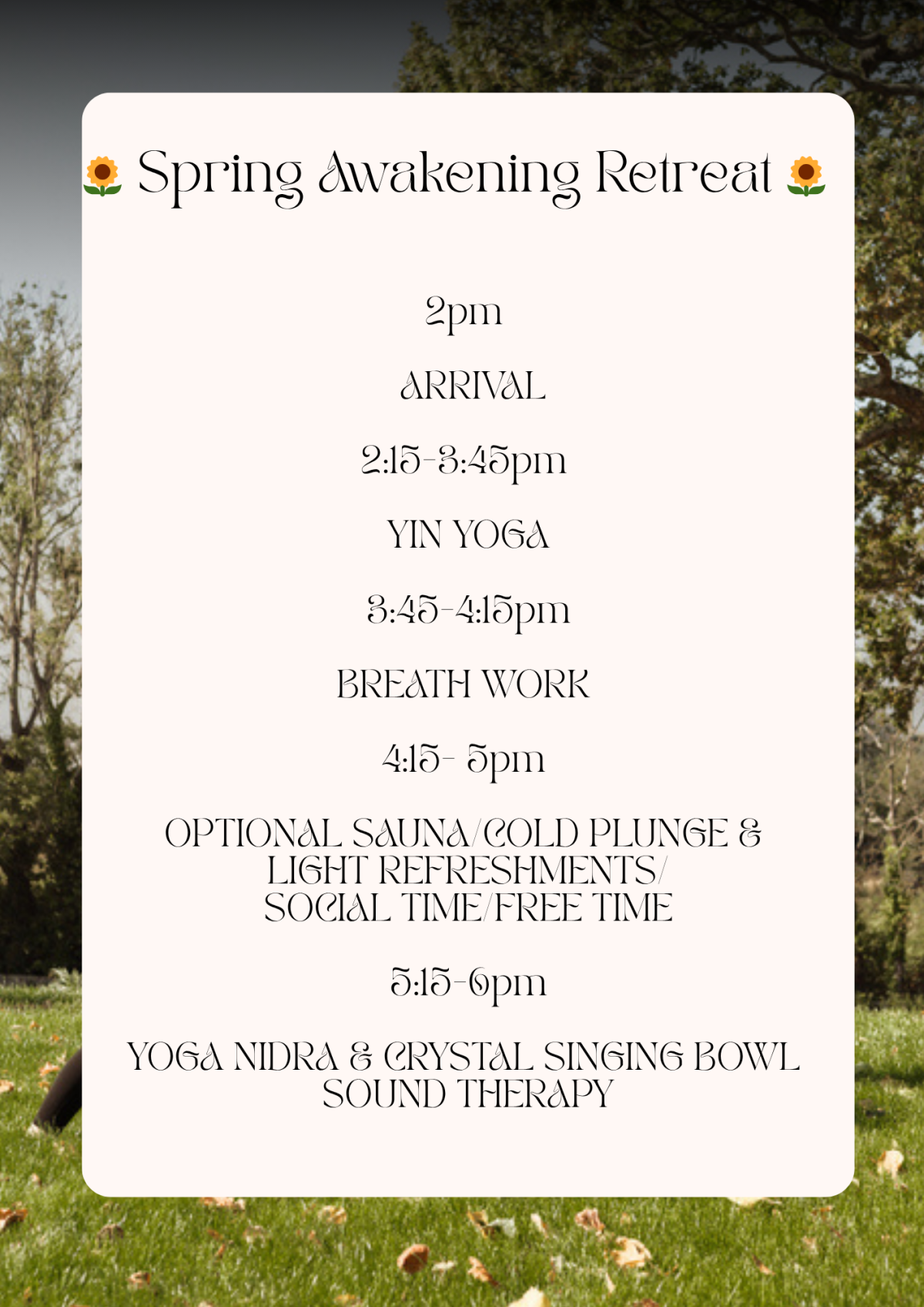 Cream and Black Modern Yoga New Year Schedule Flyer 2